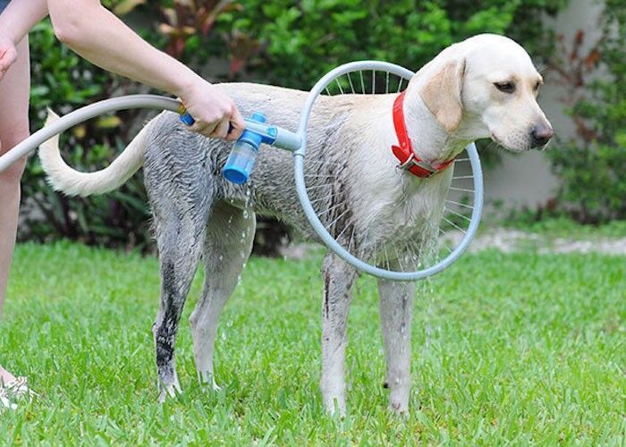 Fully automatic 360 degree pet supplies bath ring - EL CHEG