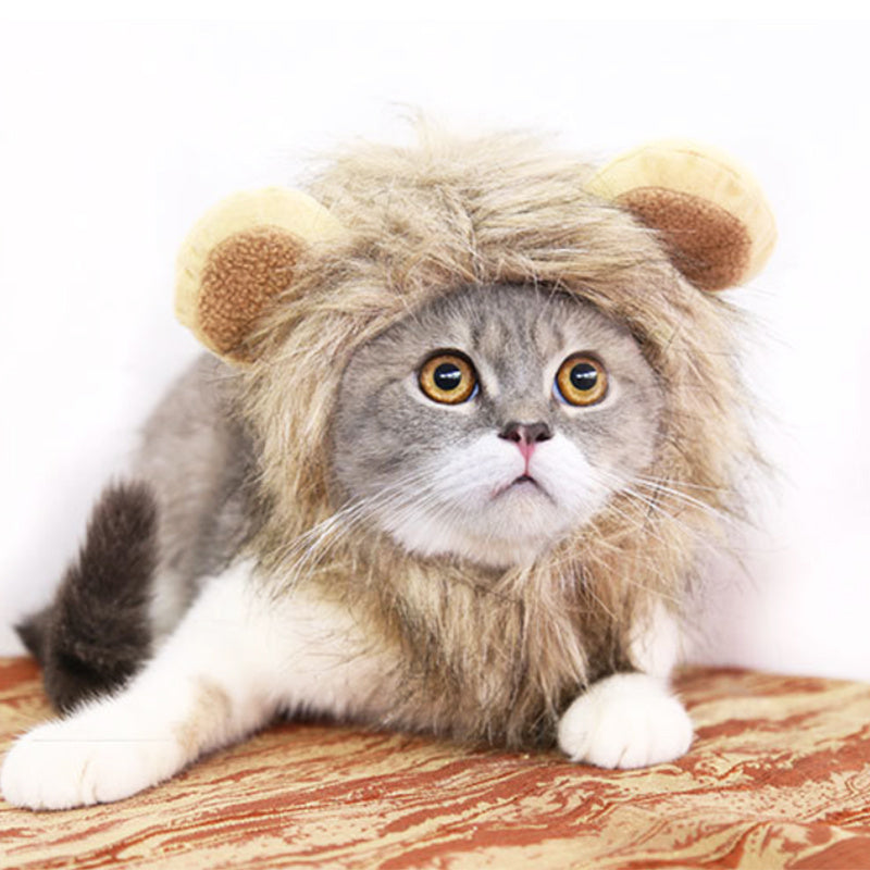 Funny Pet Hat For Small Dogs Cats Hat Emulation Lion Hair Mane Ears Head Cap Scarf Pet Halloween Festival Costume - EL CHEG