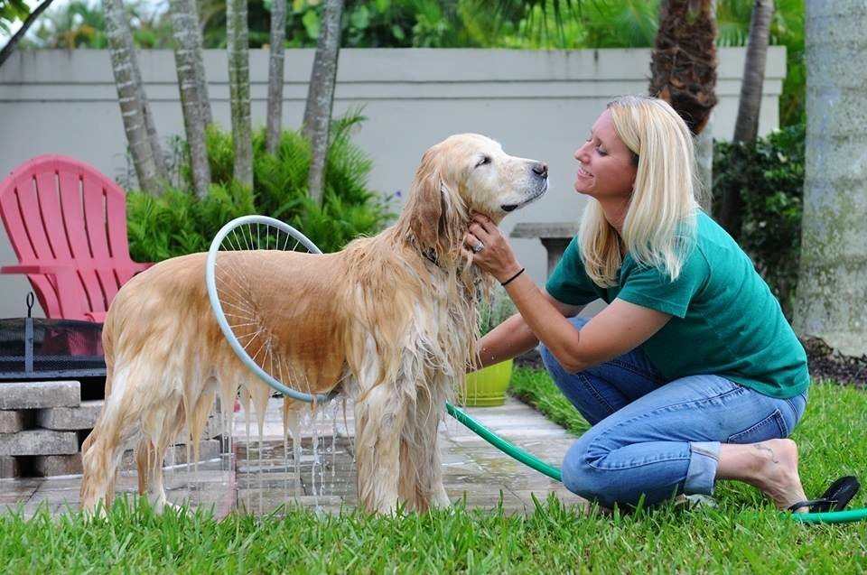 Fully automatic 360 degree pet supplies bath ring - EL CHEG