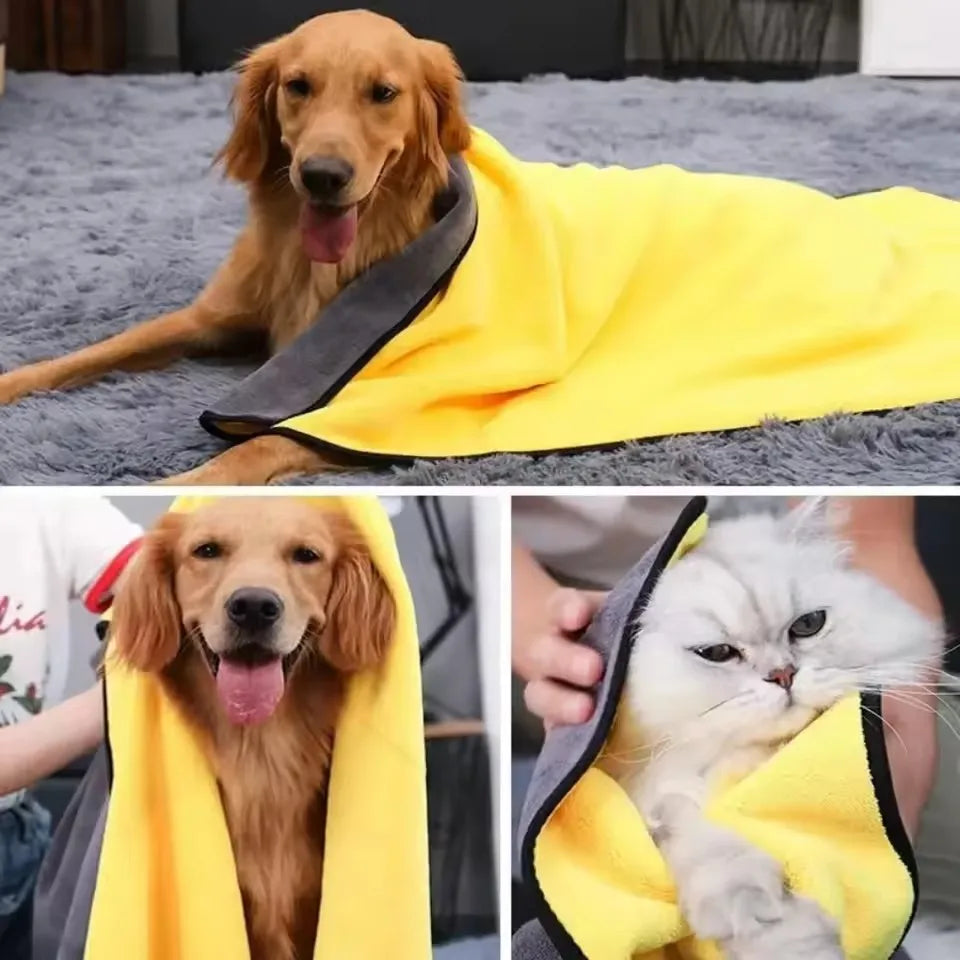 Pets