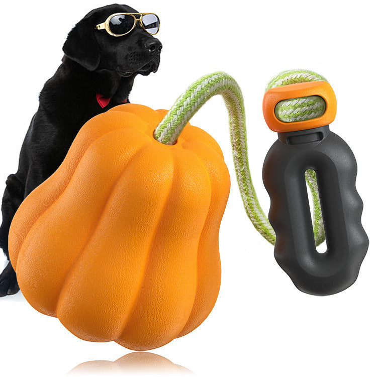 Bite Molar Outdoor Camping Long Throws Dog Toy
