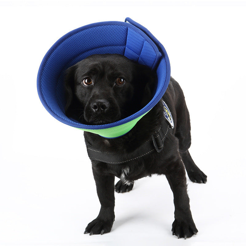 Dog Cat Anti-bite Collar Pet Medical Recovery Collars Transparent Pets Protection Cover Elizabethan Collar Circle For Pet Supplies - EL CHEG