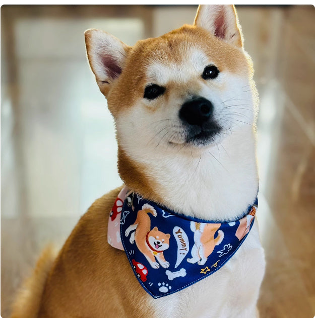 Shiba Inu Color Matching Triangular Binder Can Be Worn On Both Sides
