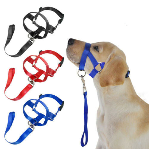 Dog rectification rushing leash dog cover - EL CHEG