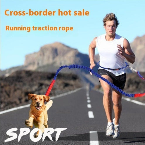 Fast selling new factory fitness belt, nylon dog rope sports pet products, dog running reflex traction rope - EL CHEG