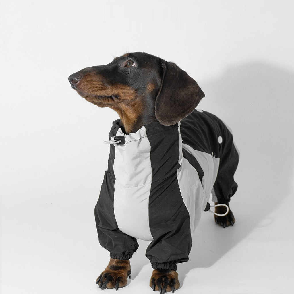 Pet Winter Color Matching Clothes