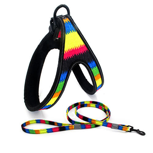Colorful Dog Leash Dog Walking Rope Small And Medium-sized Dog Explosion-proof Dog Chain - EL CHEG
