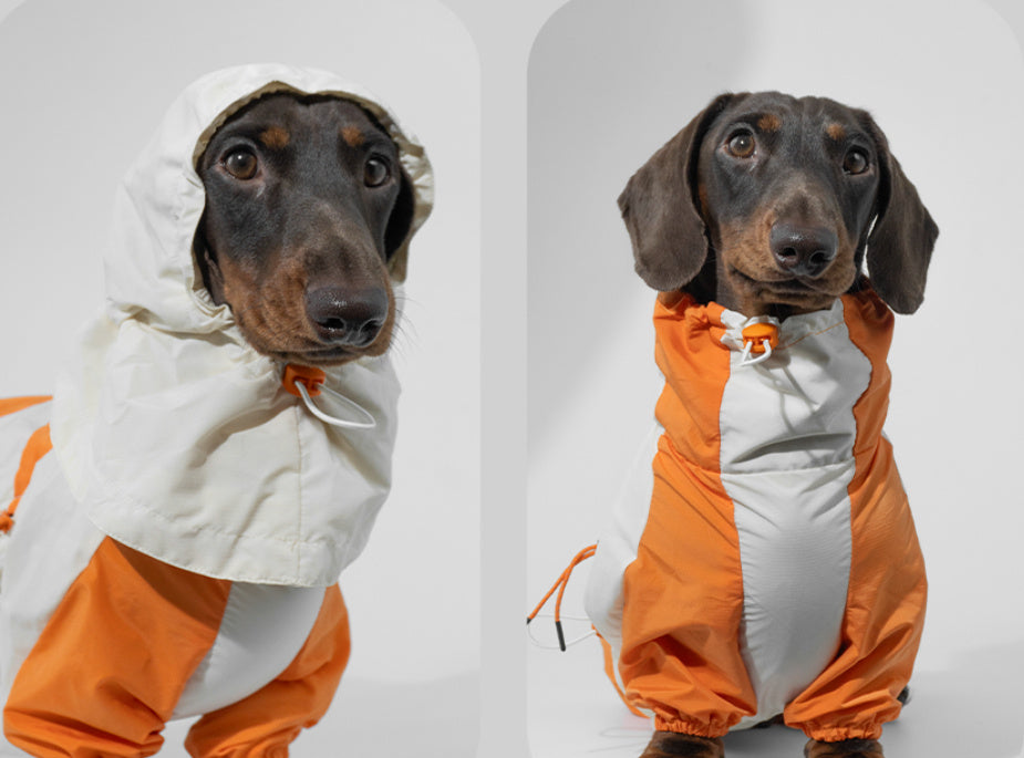 Pet Winter Color Matching Clothes