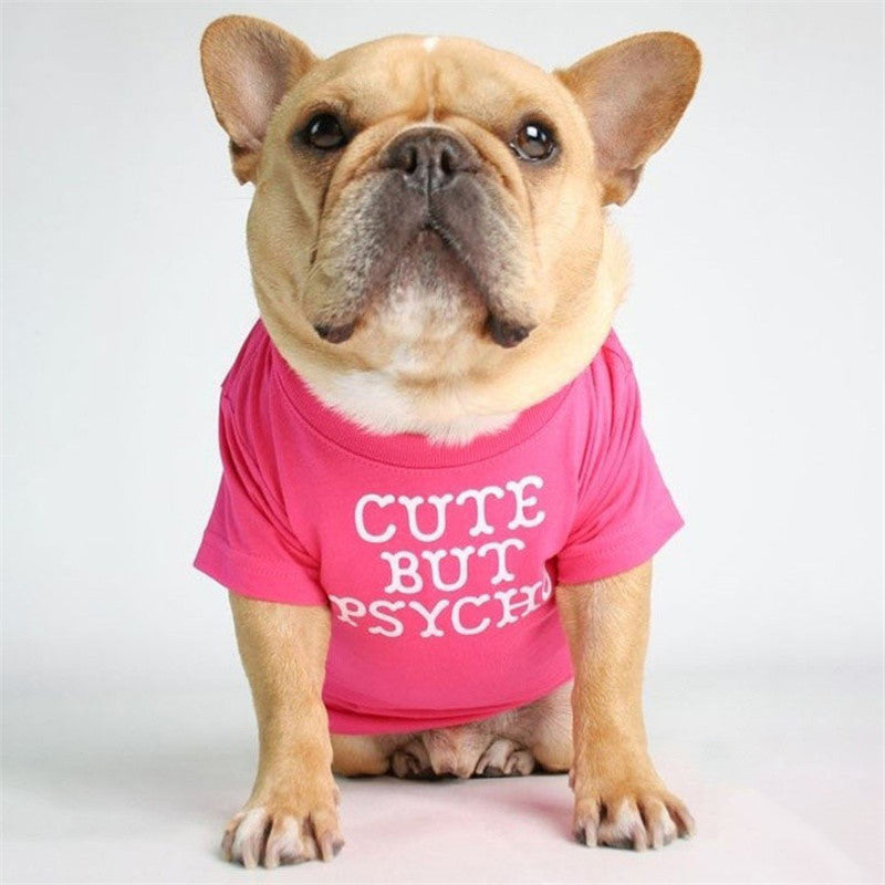 Fadou Turtleneck Crew Neck T-shirt Bichon Japan and Korea
