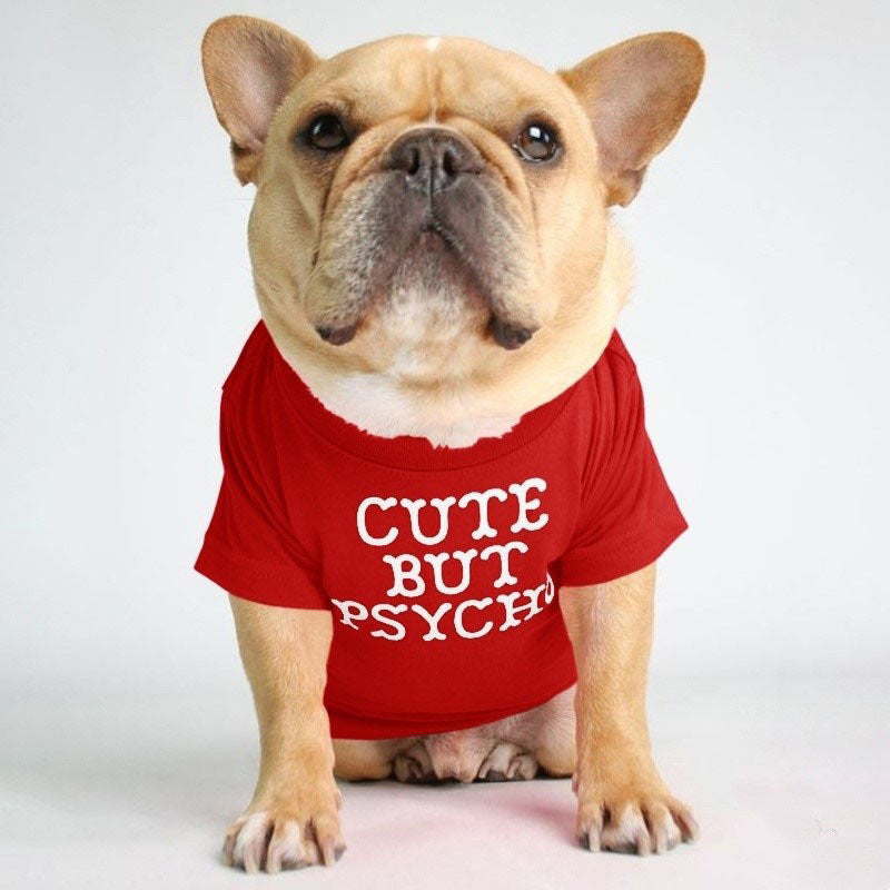 Fadou Turtleneck Crew Neck T-shirt Bichon Japan and Korea