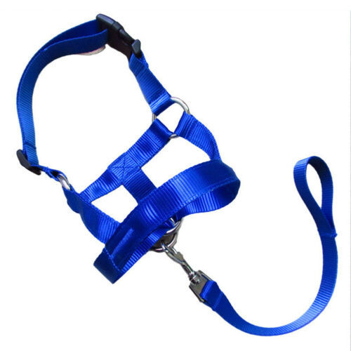 Dog rectification rushing leash dog cover - EL CHEG