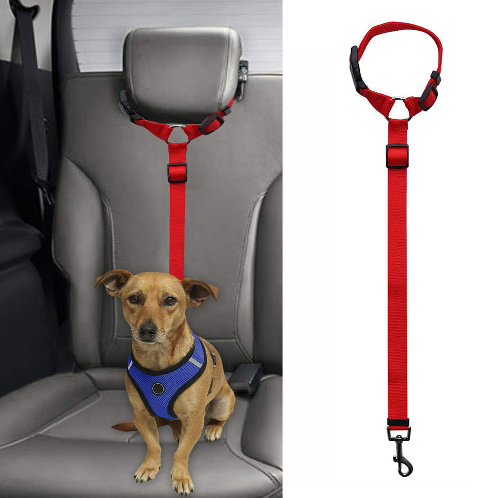 Pet safety leash - EL CHEG