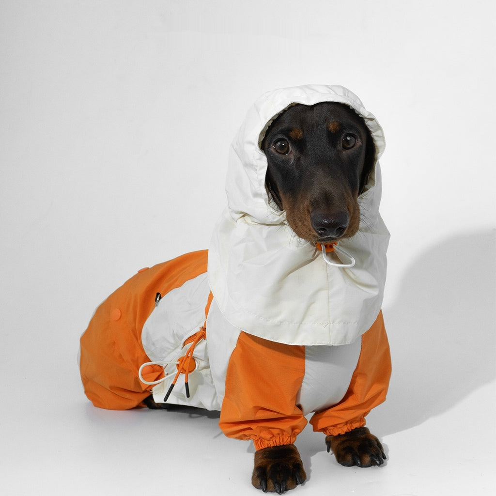 Pet Winter Color Matching Clothes