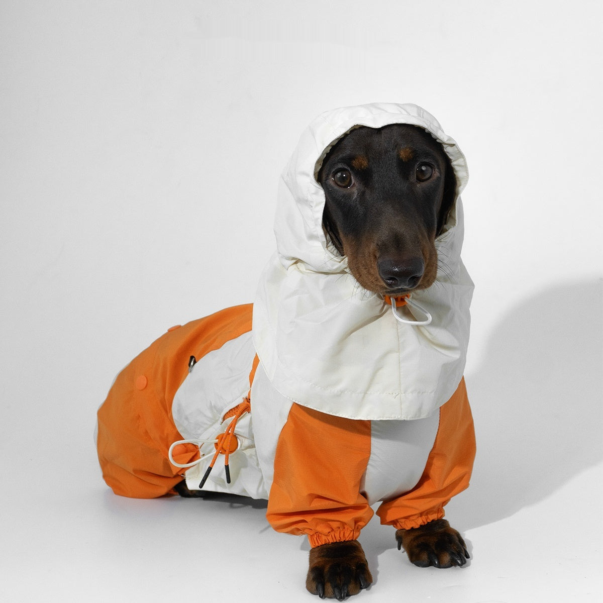 Pet Winter Color Matching Clothes