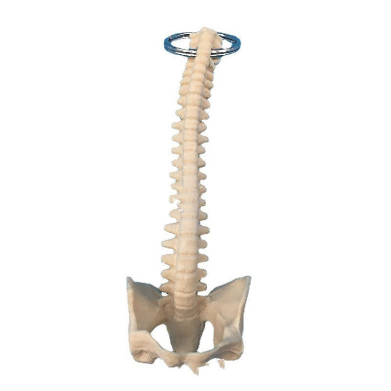 Human Spine Keychain Skeleton Model