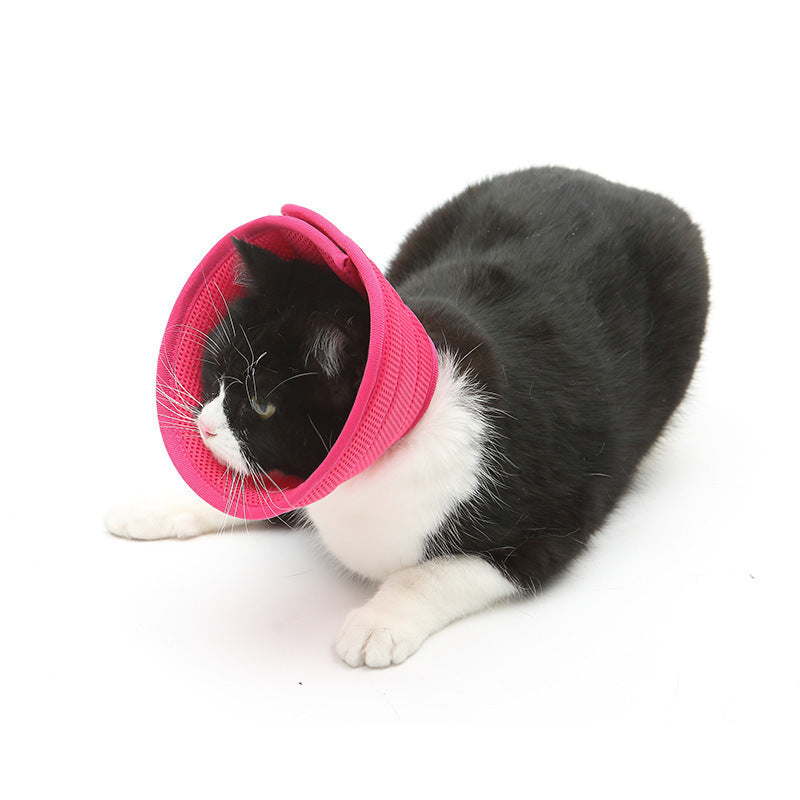 Dog Cat Anti-bite Collar Pet Medical Recovery Collars Transparent Pets Protection Cover Elizabethan Collar Circle For Pet Supplies - EL CHEG