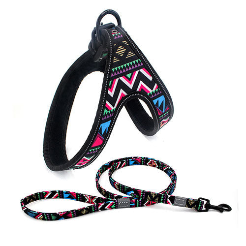 Colorful Dog Leash Dog Walking Rope Small And Medium-sized Dog Explosion-proof Dog Chain - EL CHEG