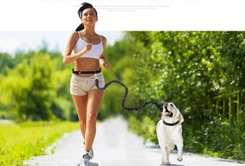 Fast selling new factory fitness belt, nylon dog rope sports pet products, dog running reflex traction rope - EL CHEG