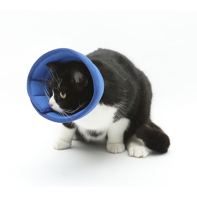 Dog Cat Anti-bite Collar Pet Medical Recovery Collars Transparent Pets Protection Cover Elizabethan Collar Circle For Pet Supplies - EL CHEG