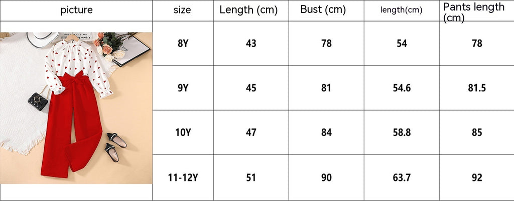 Spring Girls' Long Sleeve Blouse And Pants