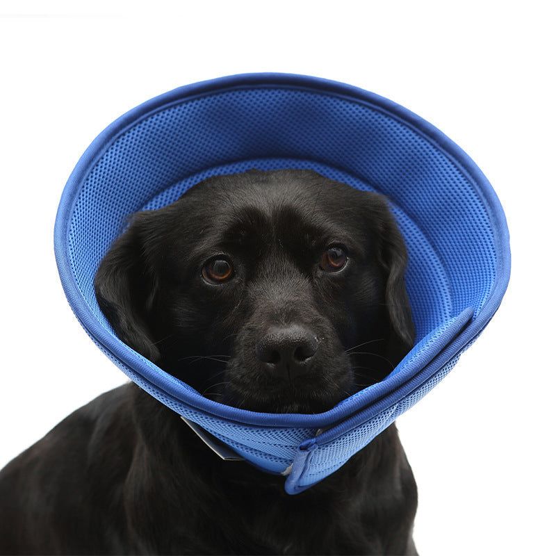 Dog Cat Anti-bite Collar Pet Medical Recovery Collars Transparent Pets Protection Cover Elizabethan Collar Circle For Pet Supplies - EL CHEG