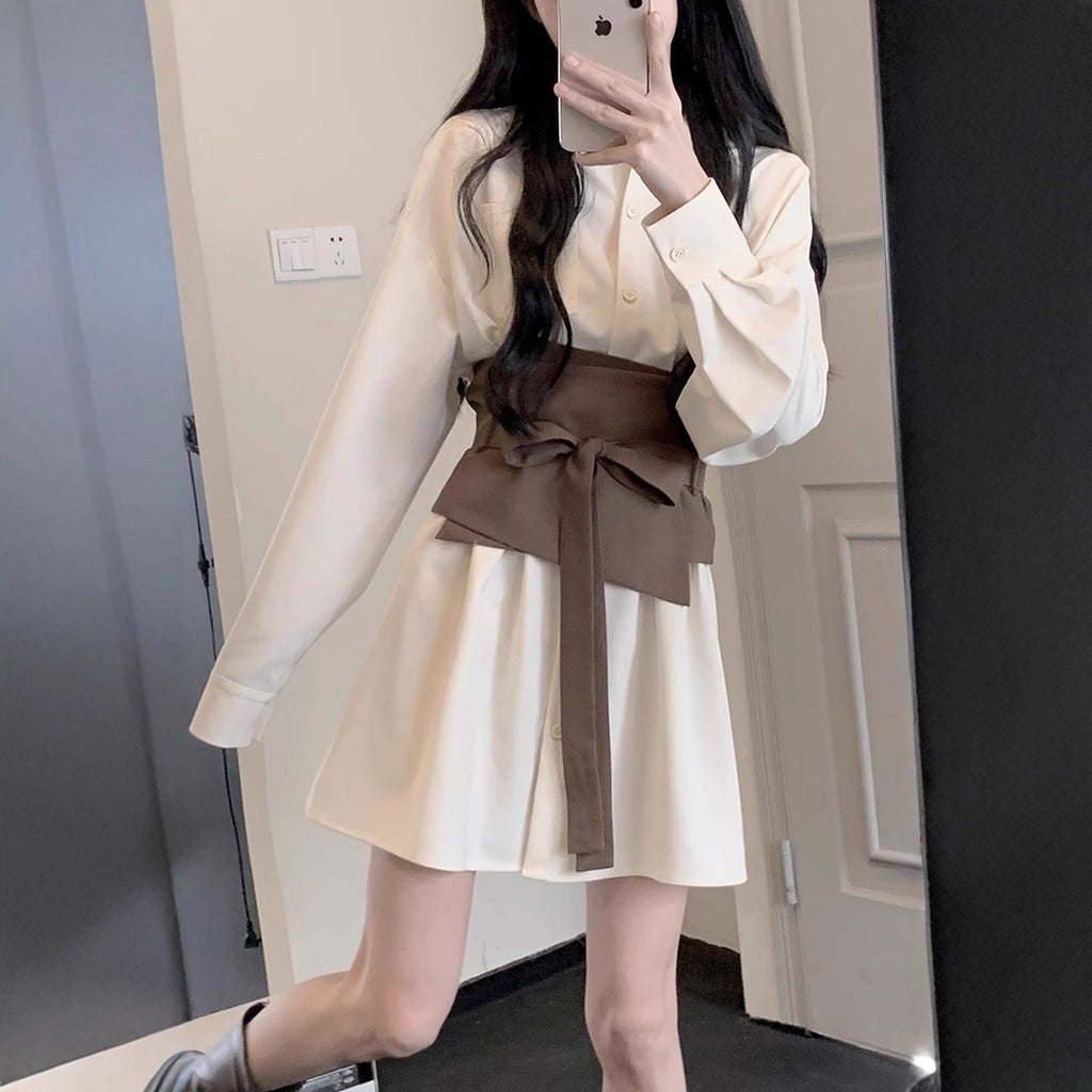 Long Sleeve Shirt Skirt Women's Temperament Slimming Dress