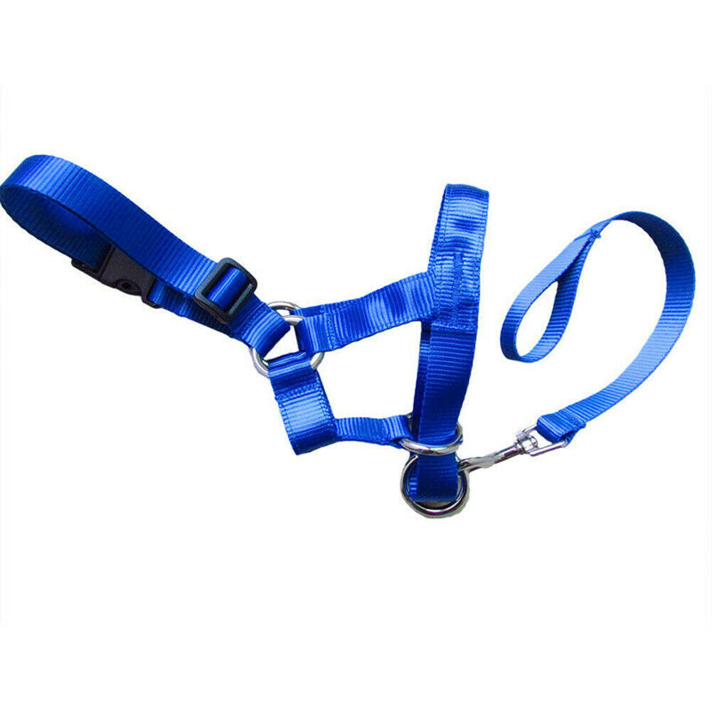 Dog rectification rushing leash dog cover - EL CHEG