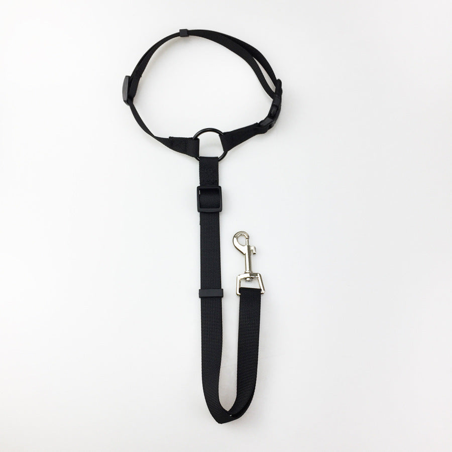 Pet safety leash - EL CHEG
