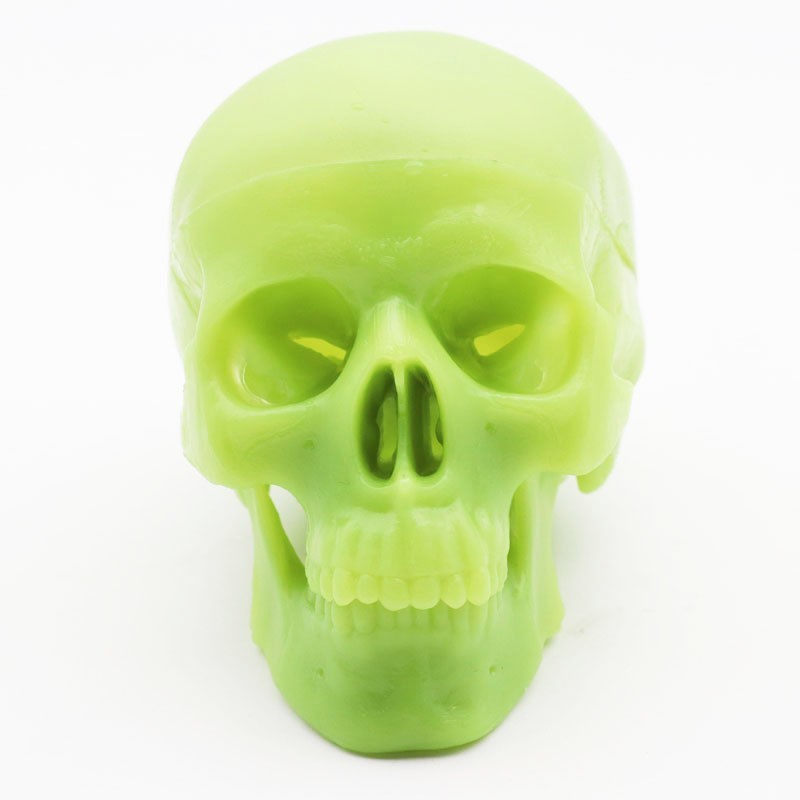 Medical Detachable 15 Parts 12 Human Head Skull.