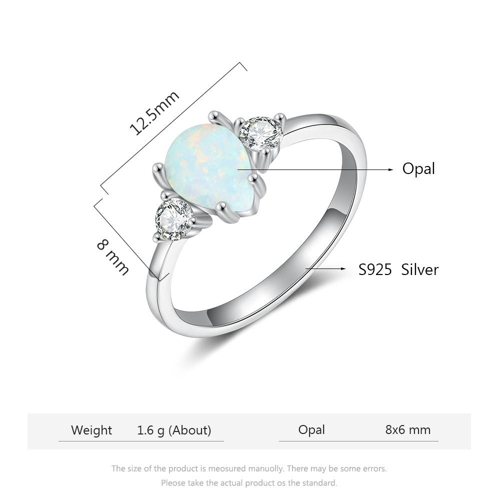 Women's Sterling Silver Ring Special-interest Design High-grade