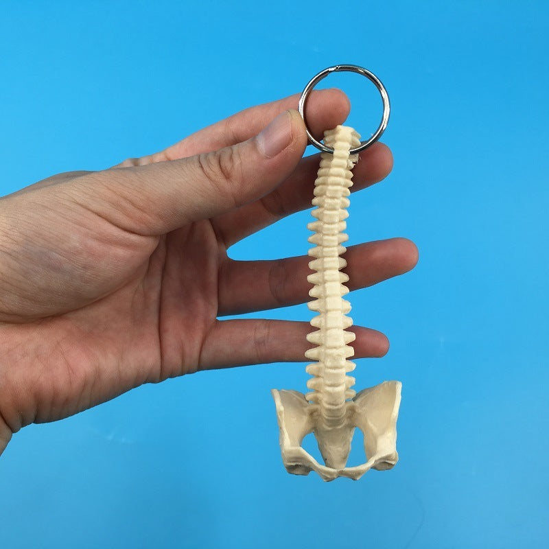Human Spine Keychain Skeleton Model