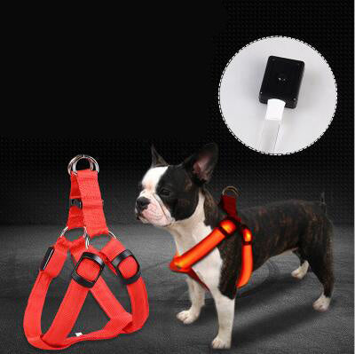 Pet Products LED Luminous Dog Chest Strap Large Dog Luminous Dog Leash - EL CHEG