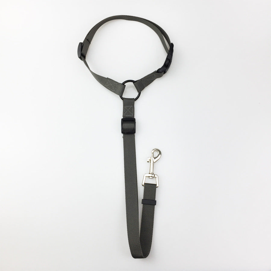 Pet safety leash - EL CHEG