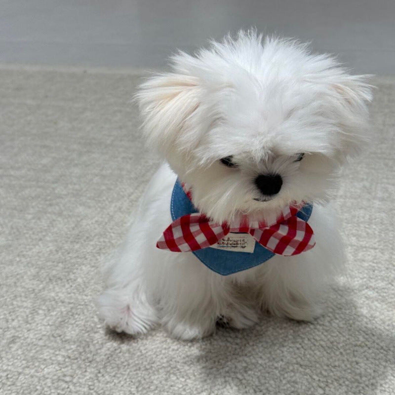 Cat Ins Scarf Saliva Pet Cute Bow