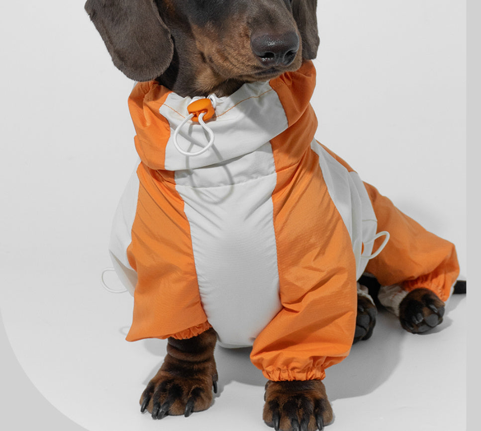 Pet Winter Color Matching Clothes