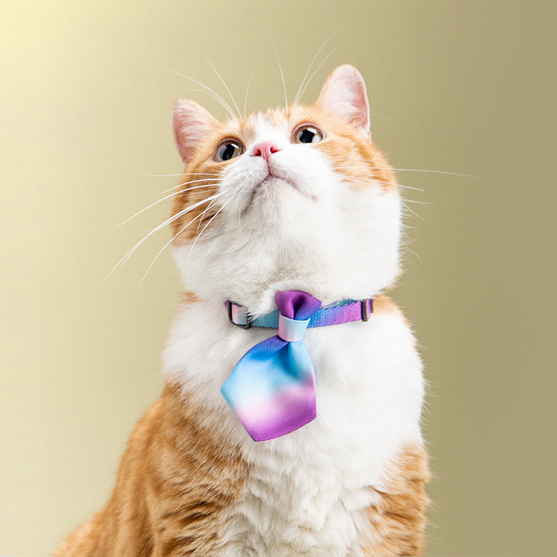 Collar Dog Gentleman Tie Accessories Adjustable Pet Products - EL CHEG