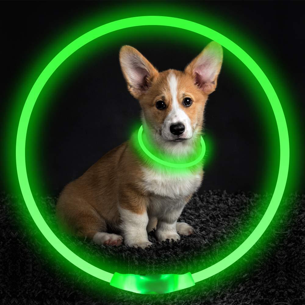 Pet Flashing Collar USB Rechargeable Glowing Necklace Safety Collar Light Up Collars For Night Walking Electric Dog Collar Neon - EL CHEG