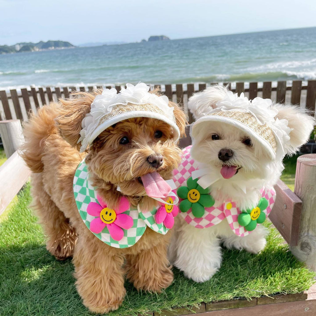 Lace Straw Sun Hat Dog Pet Rope Pig Nose Button Adjustable Hat