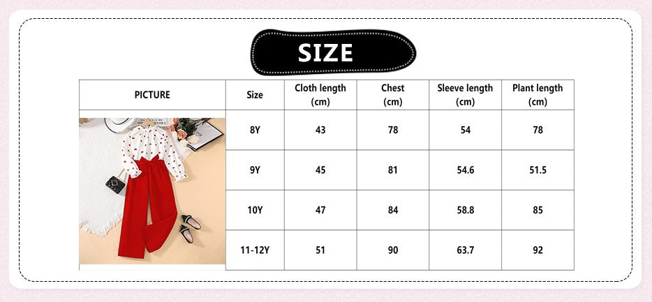 Spring Girls' Long Sleeve Blouse And Pants