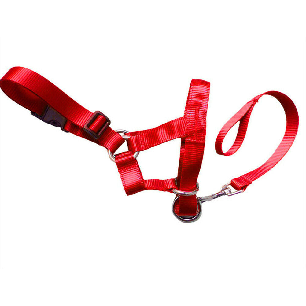 Dog rectification rushing leash dog cover - EL CHEG