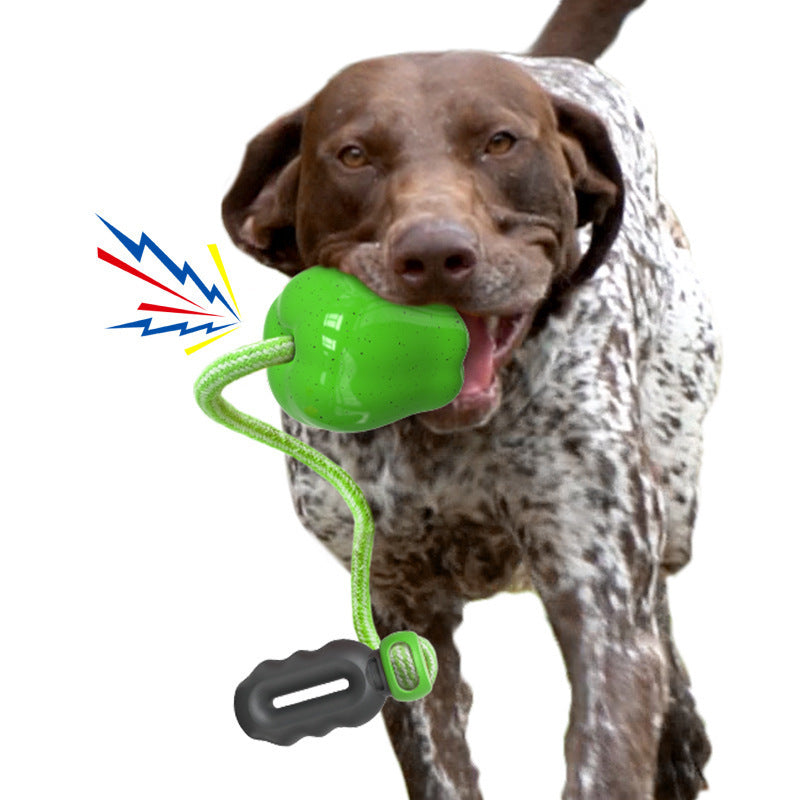 Pet Food Dropping Ball Dog Molar Outdoor Toy