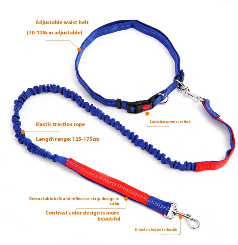 Fast selling new factory fitness belt, nylon dog rope sports pet products, dog running reflex traction rope - EL CHEG