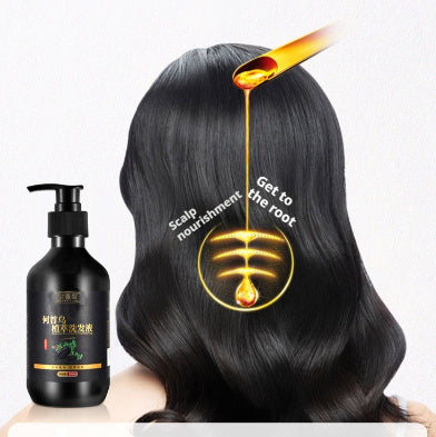 Plant Herbal Polygonum Multiflorum Shampoo Oil Control Anti-dandruf And Relieve Itching