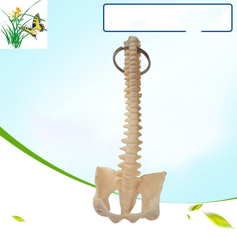Human Spine Keychain Skeleton Model