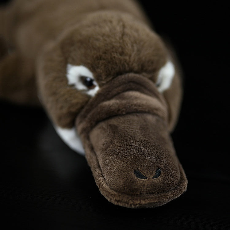 Duckbed Platypus Plush Toy Doll Cute.