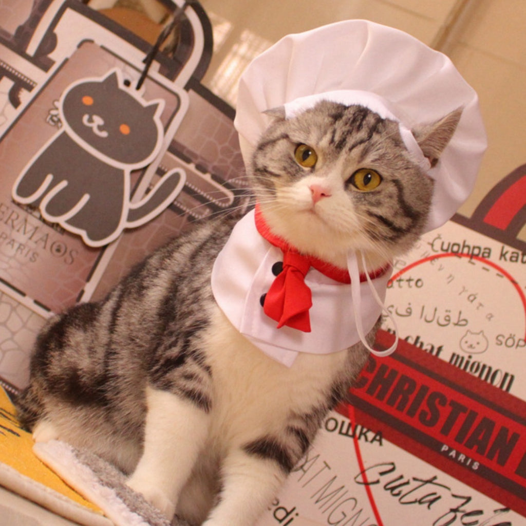 Dog Kitchen God Pet Cloak Hat Dogs And Cats Funny