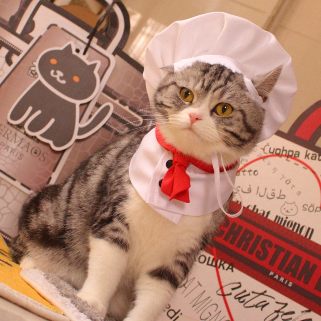 Dog Kitchen God Pet Cloak Hat Dogs And Cats Funny