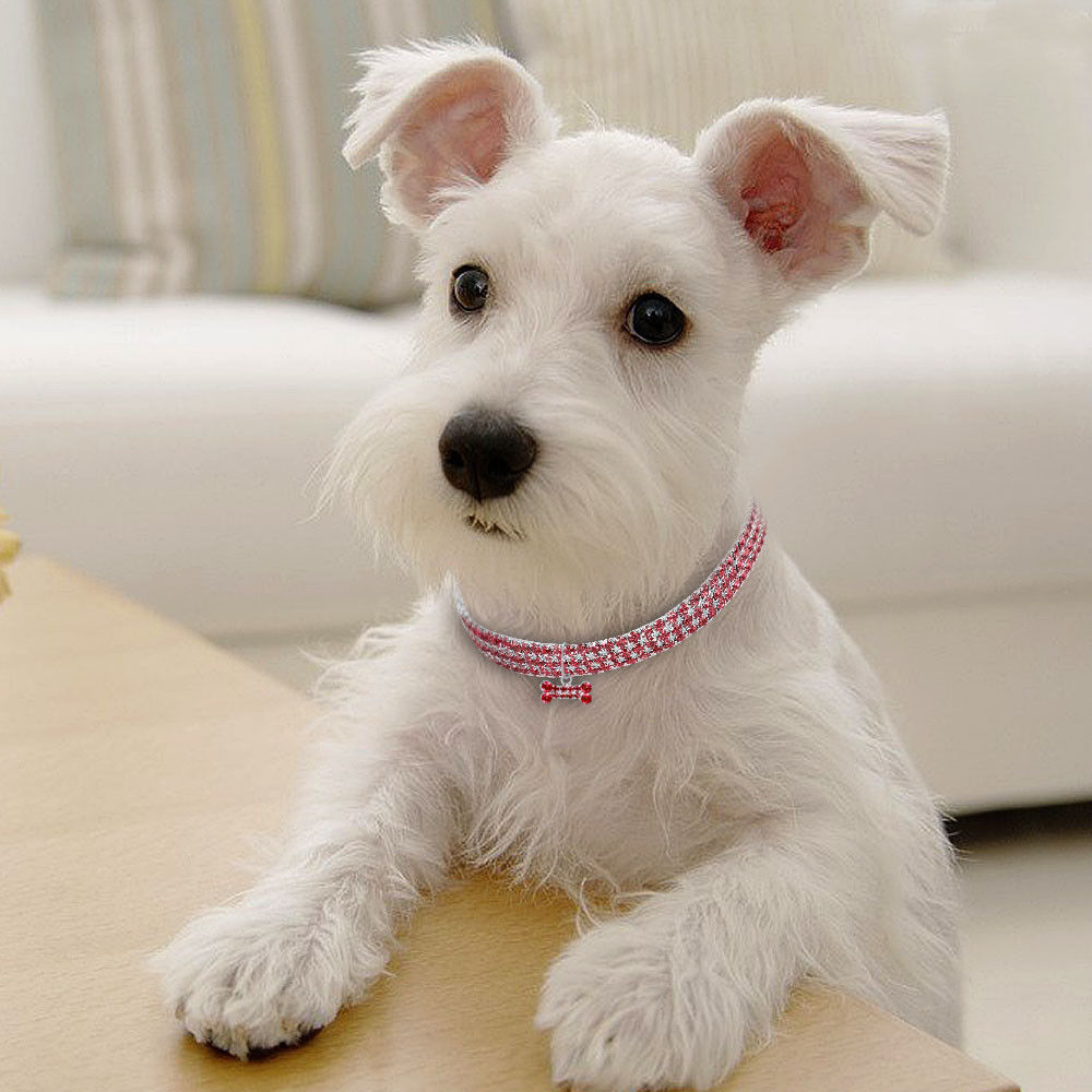 Bling Rhinestone Dog Collar Crystal Puppy Chihuahua Pet Dog Collars Leash For Small Medium Dogs Cats - EL CHEG