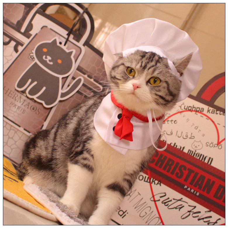Dog Kitchen God Pet Cloak Hat Dogs And Cats Funny