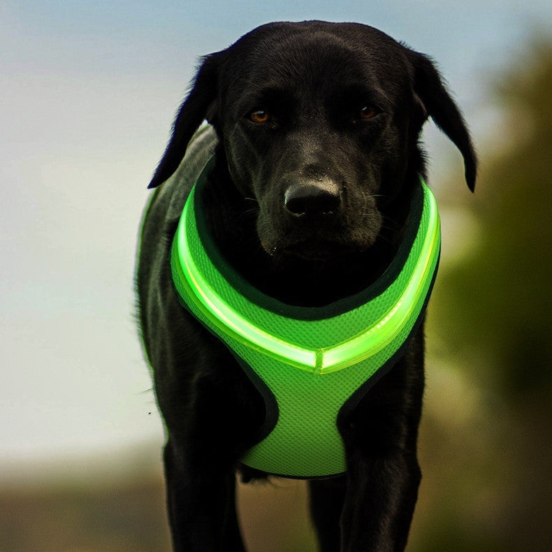 LED Luminous Dog Harness Led USB Charging Dog Chest Strap Vest Pet Safety Reflective Harness Pet Vest For Puppy Large Dog Pet Products - EL CHEG